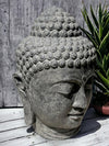Large Limited edition Buddha Head Statue 125cm (2478)