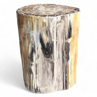 Luxury Petrified Wood Side Table (Height) 430mm x 310mm x 220mm (1641)