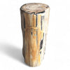 Luxury Petrified Wood Side Table (Height) 43cm x 31cm (1641)