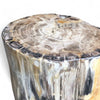 Luxury Petrified Wood Side Table (Height) 43cm x 31cm (1641)