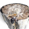 Luxury Petrified Wood Side Table (Height) 43cm x 31cm (1641)