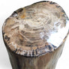 Luxury Petrified Wood Side Table (Height) 43cm x 31cm (1641)