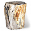 Luxury Petrified  Side Table Height 43cm x 31cm (1643)