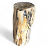 Luxury Petrified  Side Table Height 430mm x 310mm x 240mm (1643)