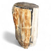 Luxury Petrified  Side Table Height 43cm x 31cm (1643)