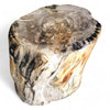 Luxury Petrified  Side Table Height 430mm x 310mm x 240mm (1643)