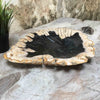 Luxury Petrified Wood Stone Platter Tray Rare Product 37cm x 31cm x 4cm (1849)