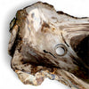 Luxury Petrified Wood Stone Basin 540mm x 390mm x 140mm (1928)
