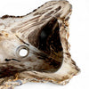 Luxury Petrified Wood Stone Basin 540mm x 390mm x 140mm (1928)