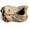 Luxury Petrified Wood Stone Basin 540mm x 390mm x 140mm (1928)