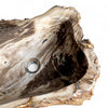 Luxury Petrified Wood Stone Basin 480mm x 370mm x 140mm (1929)