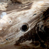 Luxury Petrified Wood Stone Basin 480mm x 370mm x 140mm (1929)