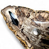 Luxury Petrified Wood Stone Basin 560mm x 350mm x 145mm (1930)