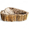 Luxury Petrified Wood Stone Basin 560mm x 350mm x 145mm (1930)