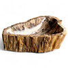 Luxury Petrified Wood Stone Basin 560mm x 350mm x 145mm (1930)