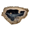 Petrified Wood Natural Stone Plate | Platter 360mm x 240mm x 50mm (2417)