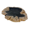 Petrified Wood Natural Stone Plate | Platter 390mm x 300mm x 35mm (2421)