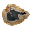Petrified Wood Natural Stone Plate | Platter 380mm x 320mm x 30mm (2422)