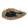 Petrified Wood Natural Stone Plate | Platter 380mm x 320mm x 30mm (2422)