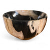 Petrified Wood Natural Stone Luxury Bowl (2440)