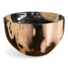 Petrified Wood Natural Stone Luxury Bowl (2440)