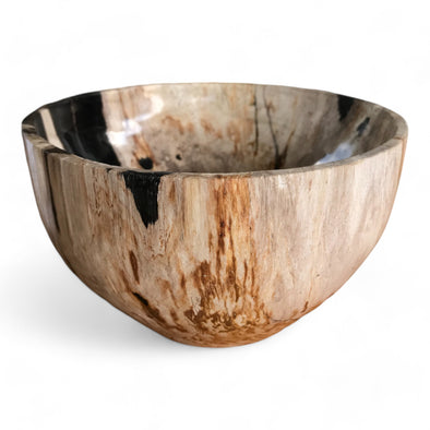 Petrified Wood Natural Stone Luxury Bowl (2441)