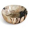 Petrified Wood Natural Stone Luxury Bowl (2441)