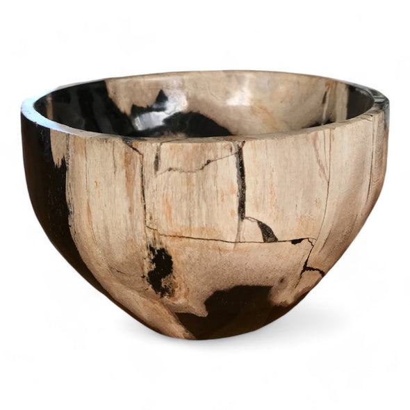 Petrified Wood Natural Stone Luxury Bowl (2442)