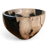 Petrified Wood Natural Stone Luxury Bowl (2442)