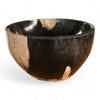 Petrified Wood Natural Stone Luxury Bowl (2446)