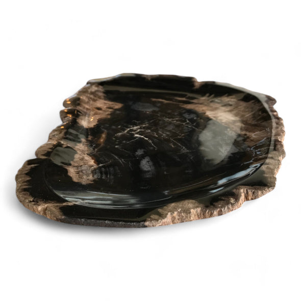 Luxury Petrified Wood Stone Platter Tray Rare Product 300mm x 205mm x 25mm (2453)