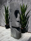 PRE ORDER Easter Island Statue Hand Carved Lava Stone 80cm (2499)