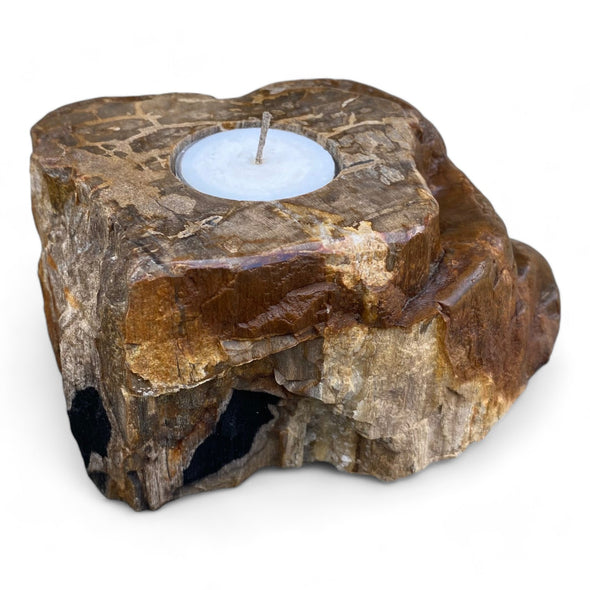 Petrified Wood Single Tealight Candle Holder (2725)