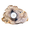 Petrified Wood Single Tealight Candle Holder (2729)