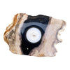 Petrified Wood Single Tealight Candle Holder (2731)