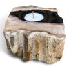 Petrified Wood Single Tealight Candle Holder (2731)