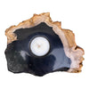 Petrified Wood Single Tealight Candle Holder (2736)