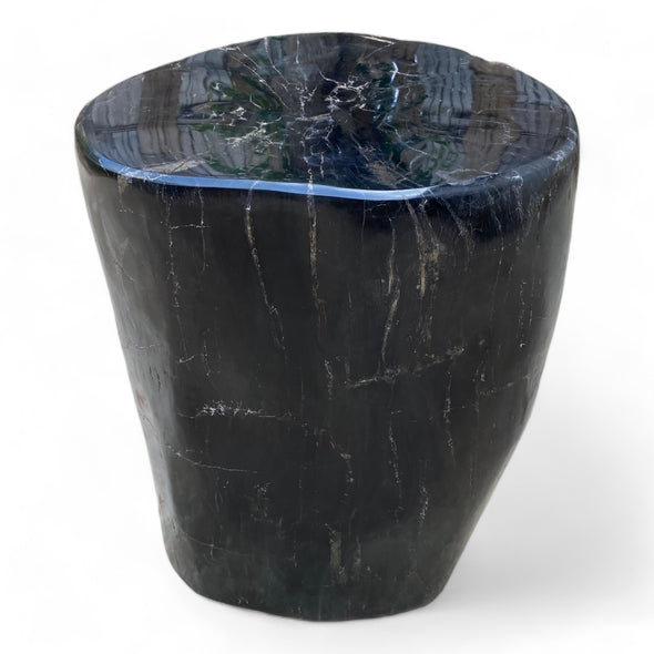 Luxury Petrified Wood Side Table Height 495mm x 360mm x 310mm (2754)