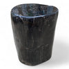 Luxury Petrified Wood Side Table Height 495mm x 360mm x 310mm (2754)