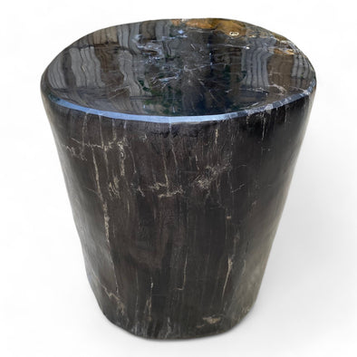 Luxury Petrified  Side Table Height 450mm x 380mm x 350mm (2758)