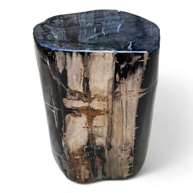 Luxury Petrified Wood Side Table Height 415mm x 300mm x 260mm (2759)