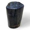 Luxury Petrified Wood Side Table Height 415mm x 300mm x 260mm (2759)