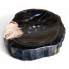Rare Luxurious Petrified Wood Tray Or Soap Dish 160mm x 110mm (2892)