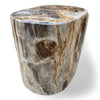 Luxury Petrified Side Table Height 51.5cm x 40cm x 51cm (2935)