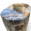 Luxury Petrified Side Table Height 51.5cm x 40cm x 51cm (2935)