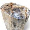 Luxury Petrified Side Table Height 51.5cm x 40cm x 51cm (2935)