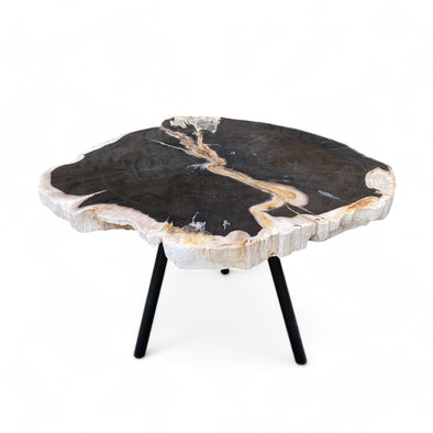 Luxury Petrified Wood Coffee Side 62cm x 56cm x 40cm (2936)