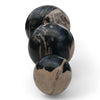 Petrified Wood Natural Home Decor Ball Set (2942)