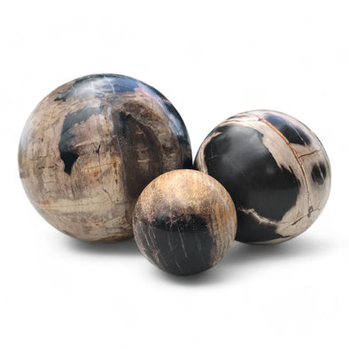 Petrified Wood Natural Home Decor Ball Set (2943)