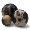 Petrified Wood Natural Home Decor Ball Set (2943)